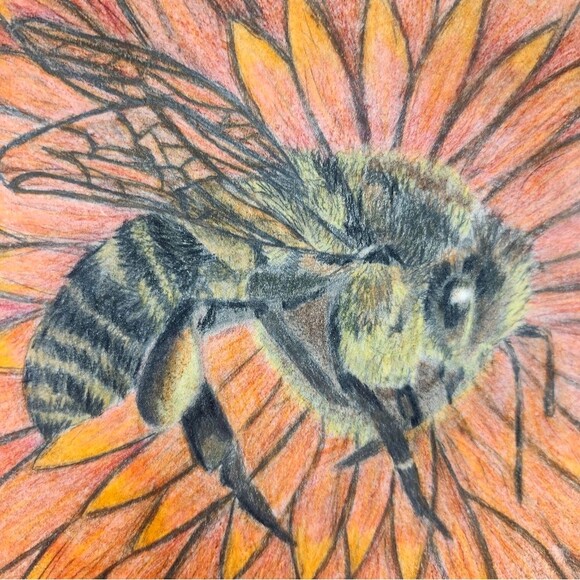 Handmade Framed Pencil Art Honey Bee Red Flower Original Colored Drawing - Picture 7 of 14